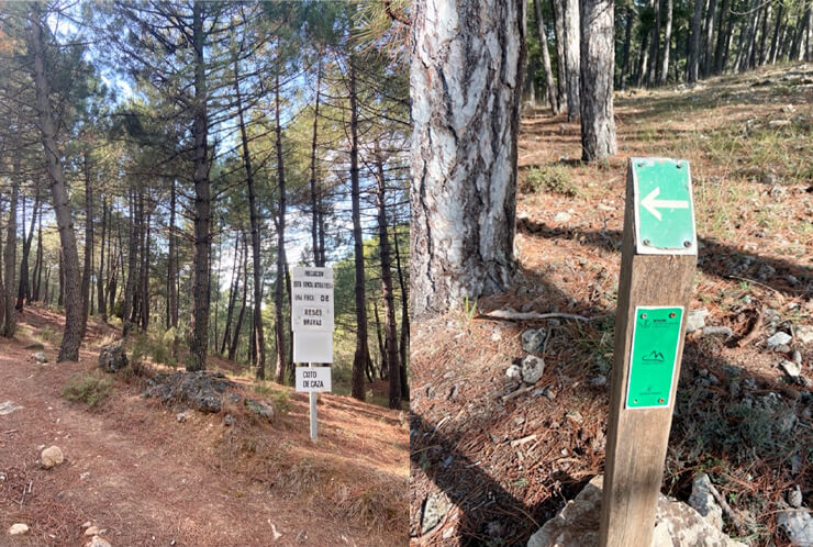 Detalle de la ruta de senderismo en Riópar: Calar del Río Mundo.